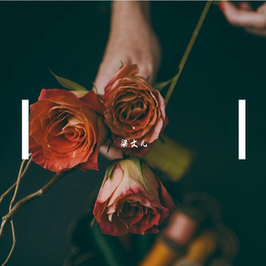 刘海瑞双飞与林太合作项目详情
