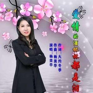 刘海瑞双飞与林太合作项目详情
